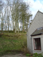  Tricky one this saturday morning - need to remove these four ash trees from the top of the steep bank, without damaging the house....